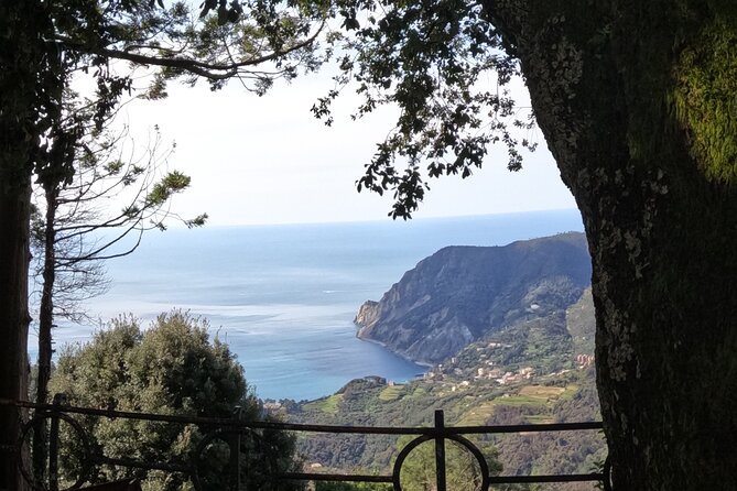 E-Bike Tour in Cinque Terre with Aperitif in Farmhouse - Why riding above Cinque Terre changes the view