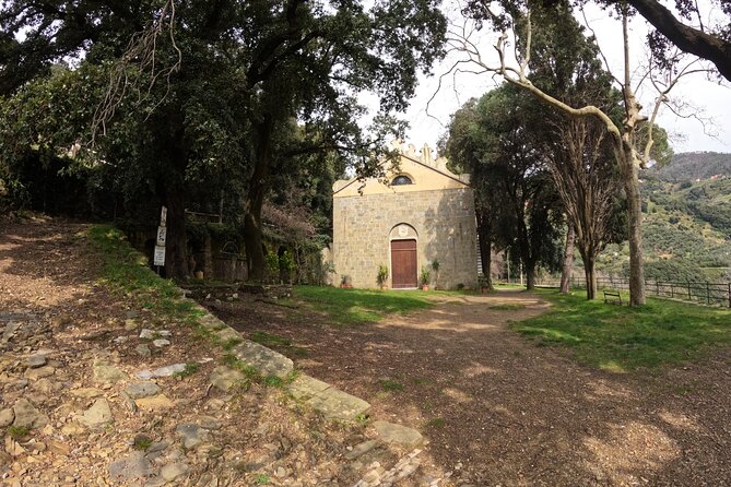 E-Bike Tour in Cinque Terre with Aperitif in Farmhouse - What $104.76 buys you