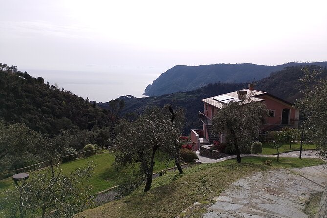 E-Bike Tour in Cinque Terre with Aperitif in Farmhouse - Who will enjoy this ride most