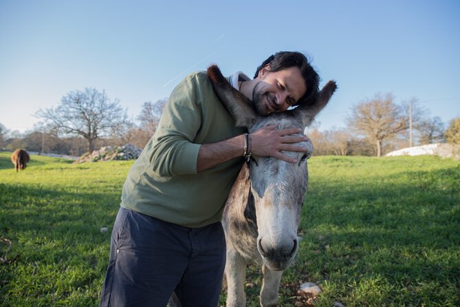 E-bike Tour to Alberobello with Visit to a Donkey Farm - Stories about Alberobello’s origins