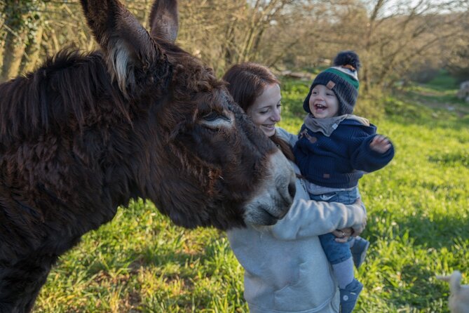 E-bike Tour to Alberobello with Visit to a Donkey Farm - Timing, weather, and planning advice