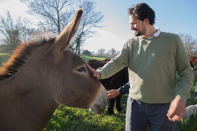 E-bike Tour to Alberobello with Visit to a Donkey Farm - Meeting the donkeys at the breeding farm