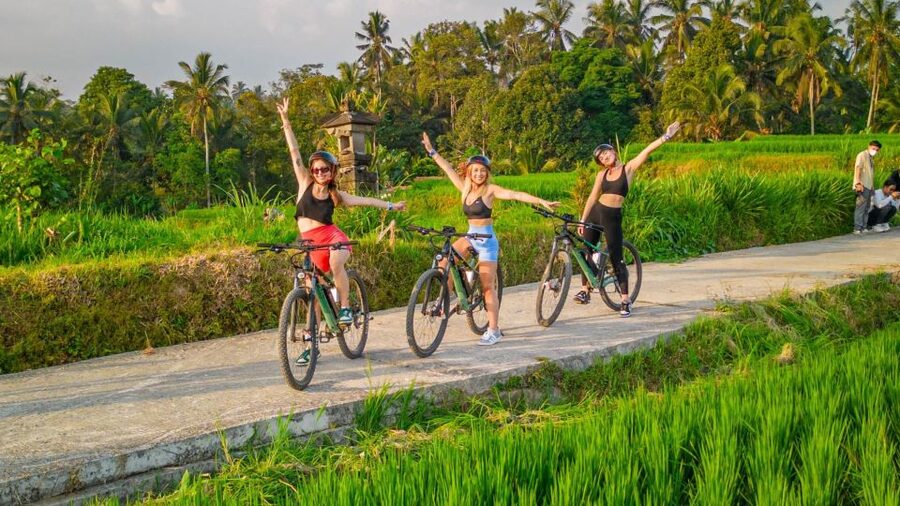 E-Bike: Ubud Rice Terraces & Traditional Villages Cycling - Why the rice fields are the real attraction