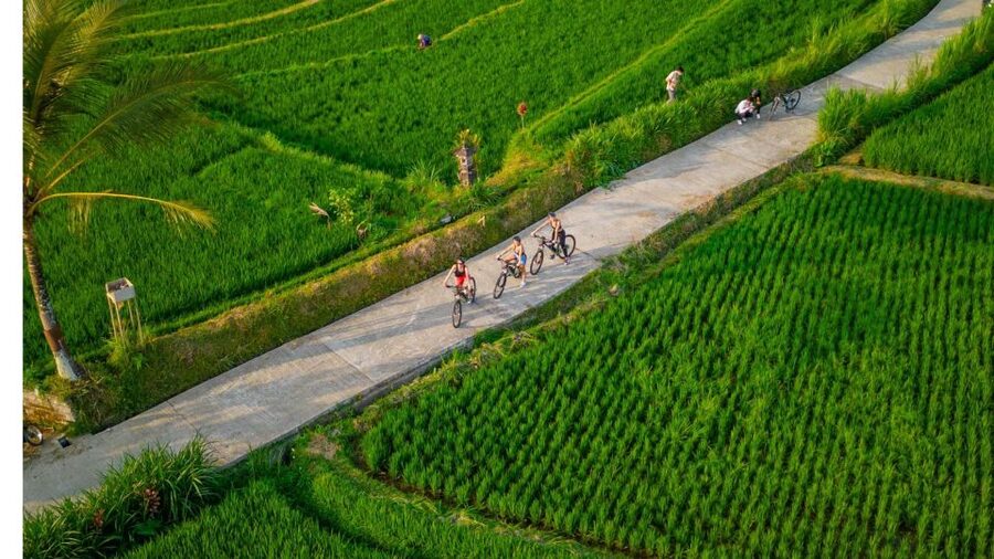 E-Bike: Ubud Rice Terraces & Traditional Villages Cycling - Practical advice before you book