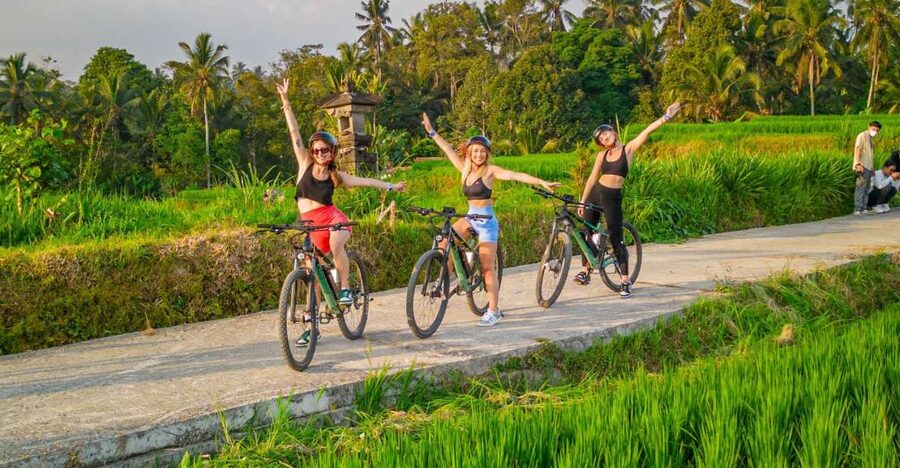 E-Bike: Ubud Rice Terraces & Traditional Villages Cycling - A closer look at traditional village life
