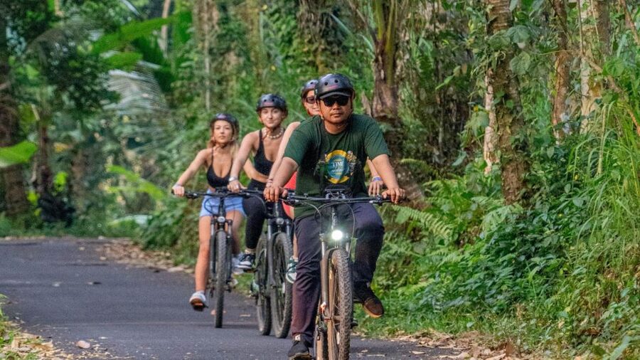 E-Bike: Ubud Rice Terraces & Traditional Villages Cycling - Is $25 a fair price?
