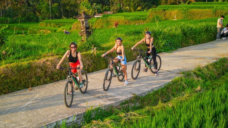 E-Bike: Ubud Rice Terraces & Traditional Villages Cycling - Who will enjoy this ride most?