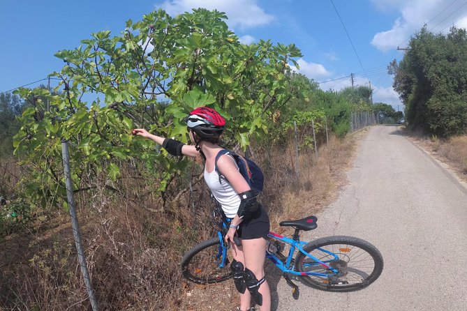 e-MTB Tour - Durrells Farm & Crab Lake [30Km - 18Mi] - Off-road tracks toward Durrell’s Farm