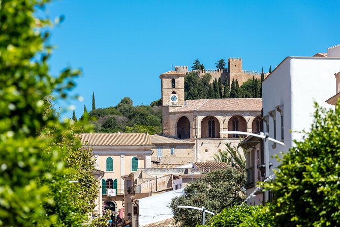Eastern Majorca Tour with Arta Caves and Aloe Plantation - Why the Arta Caves make this day worth considering