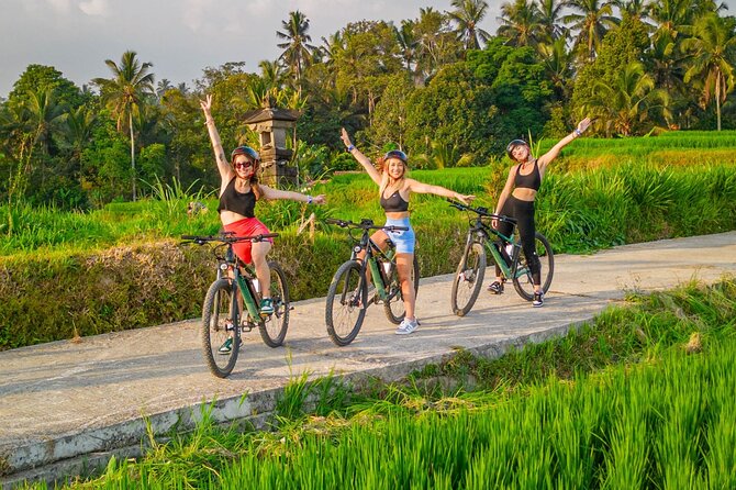eBike Ubud Rice Terraces and Traditional Villages Cycling - Key points at a glance