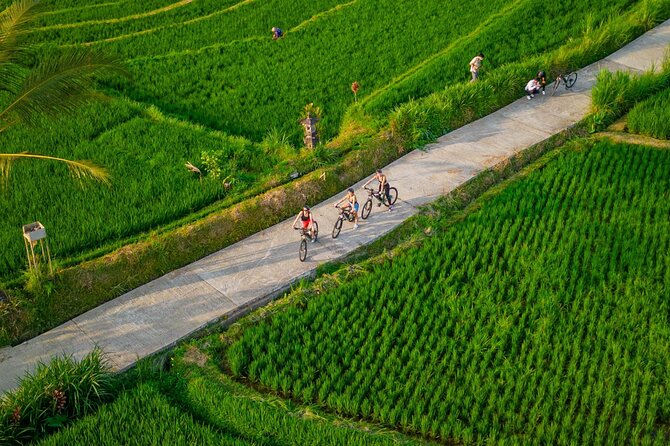 eBike Ubud Rice Terraces and Traditional Villages Cycling - Why this ride shows you a different Ubud