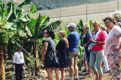 Eco banana farm Tour