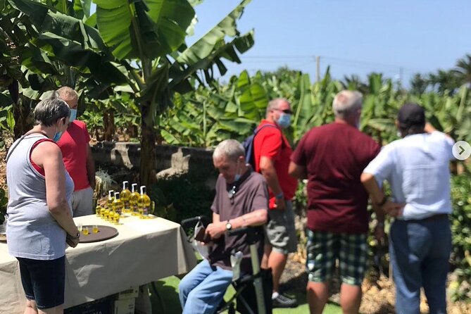 Eco banana farm Tour - Should you book the Eco banana farm Tour?
