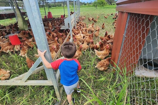 Eco Friendly Farming Tour to Explore Dorado's Most Beautiful Farm - A working farm, not a staged animal show