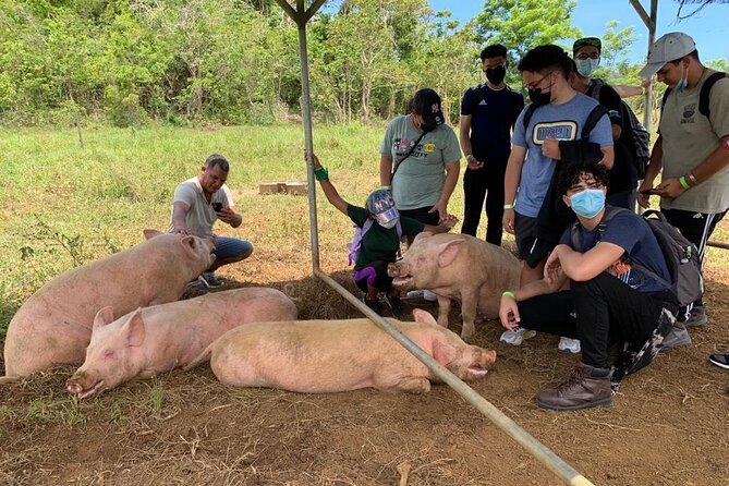 Eco Friendly Farming Tour to Explore Dorado's Most Beautiful Farm - The farm shop turns the visit into lunch