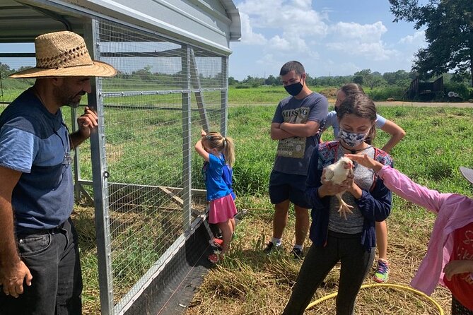 Eco Friendly Farming Tour to Explore Dorado's Most Beautiful Farm - Adding the three-mile grass maze