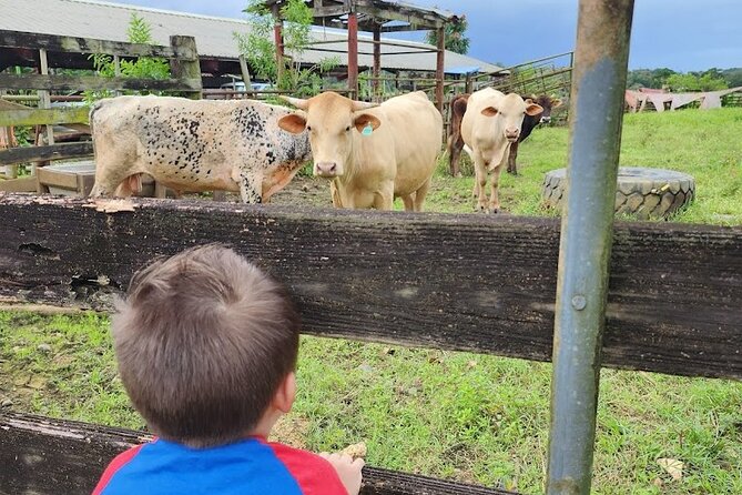 Eco Friendly Farming Tour to Explore Dorado's Most Beautiful Farm - What to wear for Puerto Rico farm conditions