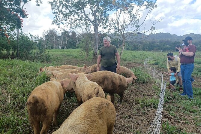 Eco Friendly Farming Tour to Explore Dorado's Most Beautiful Farm - Who will enjoy Finca Pastoreo most