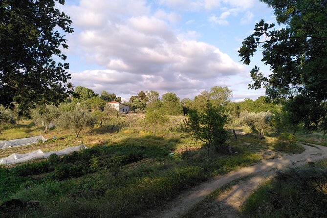 Ecotourism: Organic Farm & Animal Tour near Serra da Estrela - Key points to know before you go