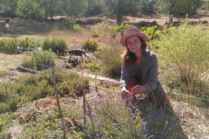 Ecotourism: Organic Farm & Animal Tour near Serra da Estrela - The farm produce tasting platter