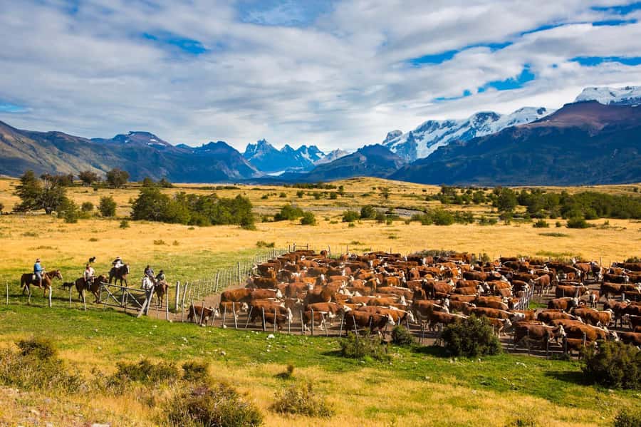 El Calafate: Nibepo Aike Ranch with Horseback Riding - Key points to know before you book