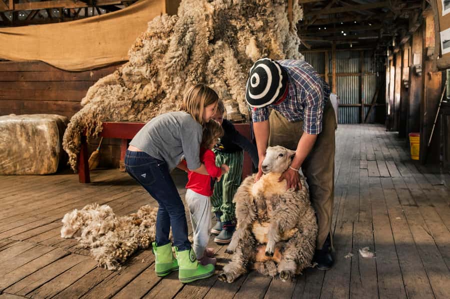 El Calafate: Nibepo Aike Ranch with Horseback Riding - From sheep production to Hereford cattle