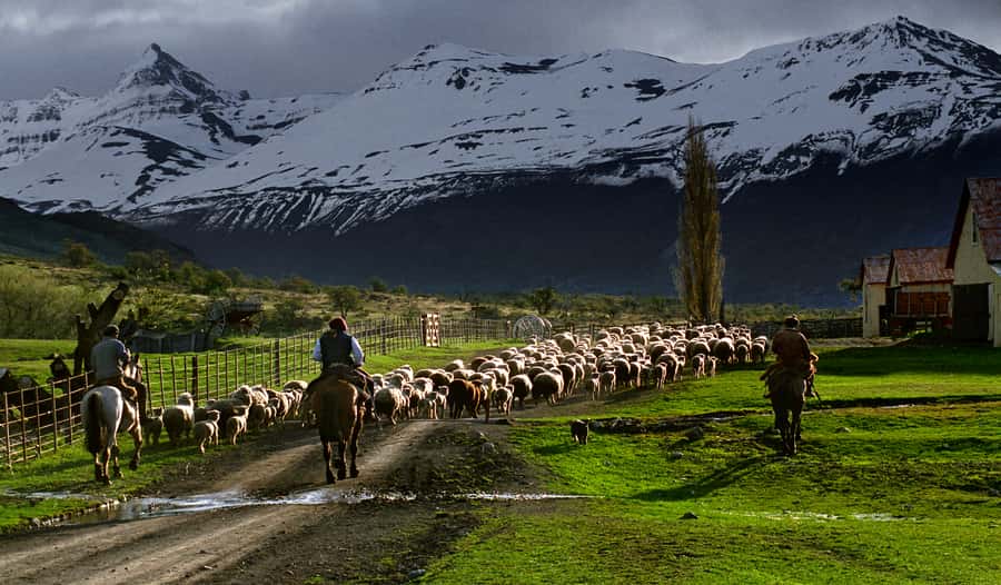 El Calafate: Nibepo Aike Ranch with Horseback Riding - Forty-five minutes on horseback with a baqueano