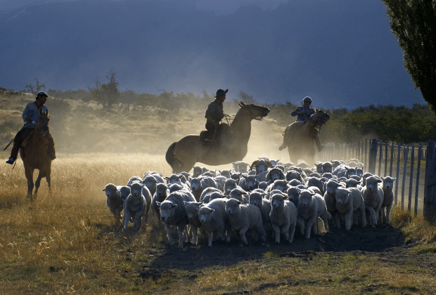 El Calafate: Nibepo Aike Ranch with Horseback Riding - What the $175 price really buys you