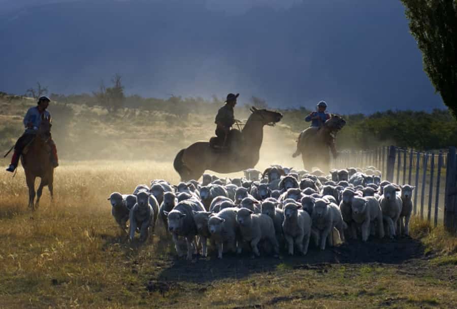 El Calafate: Nibepo Aike Ranch with Horseback Riding - Timing, pickup, and practical limits