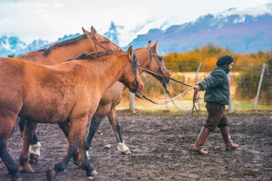 El Calafate: Nibepo Aike Ranch with Horseback Riding - A warm welcome at the ranch quincho
