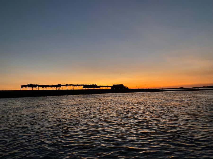El Paredón: Sea Turtle and Salt Farm Tour - Is $65 a Fair Price?