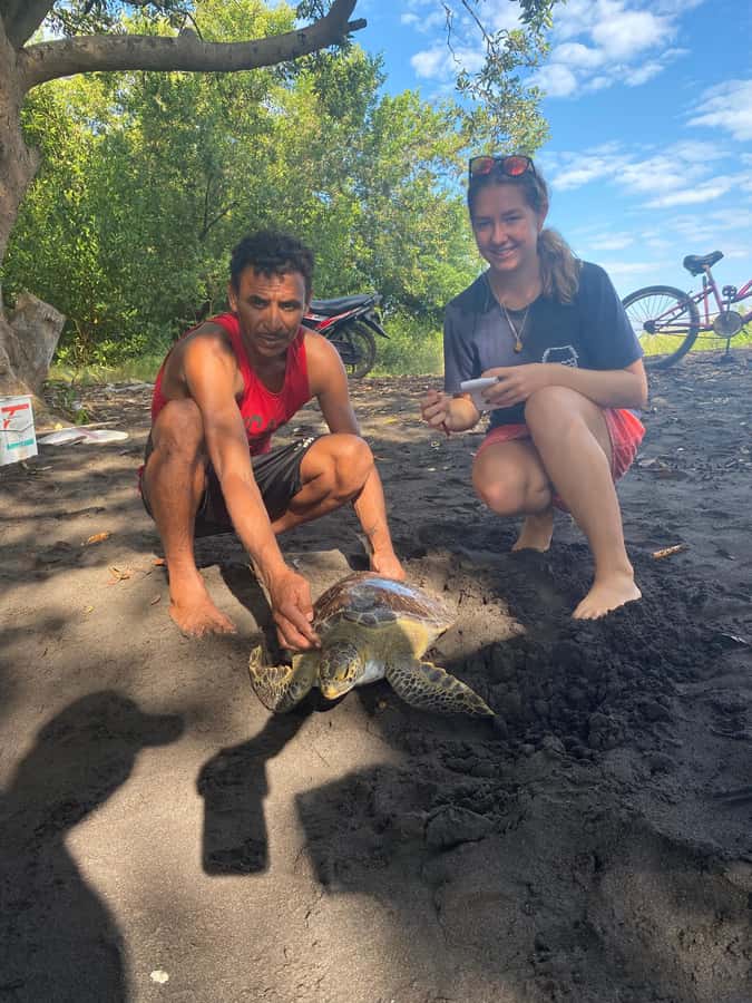 El Paredón: Sea Turtle and Salt Farm Tour - Watching Sea Turtles Surface for Air