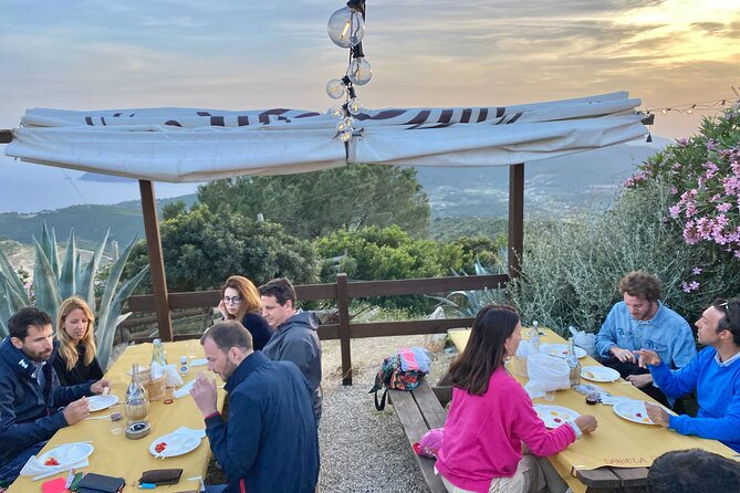 Elba Island Farmhouse tasting experience - Organic wine and an all-inclusive price