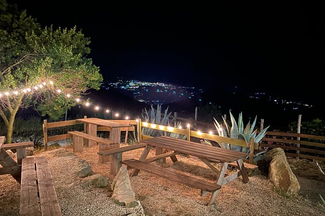 Elba Island Farmhouse tasting experience - A practical look at the two-hour visit
