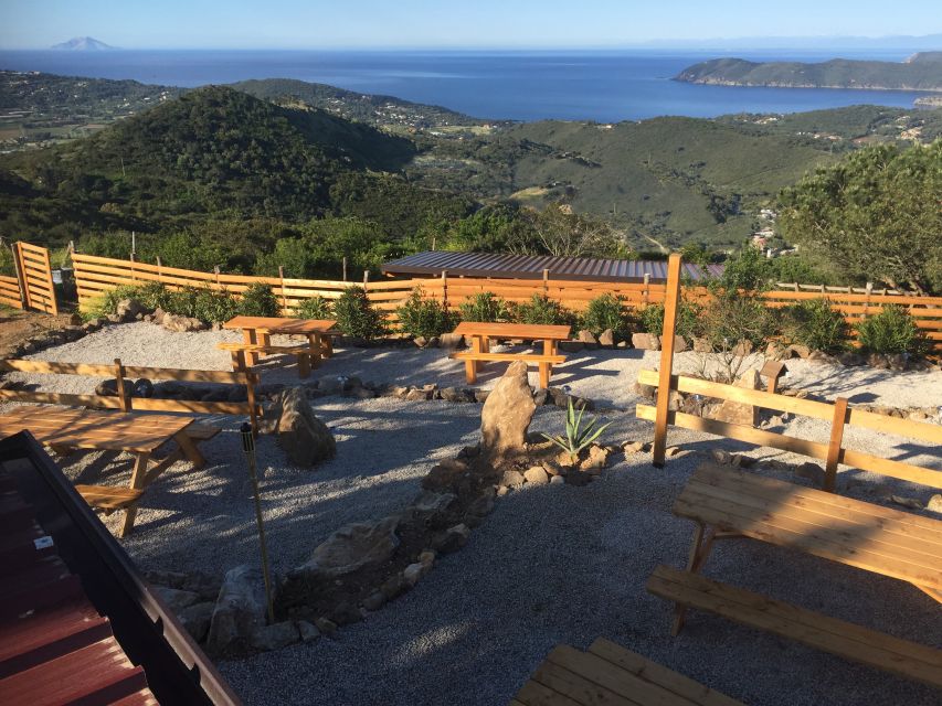 Elba: Tuscan Farmhouse Tasting - Goat cheese, yogurt, and the famous gelato