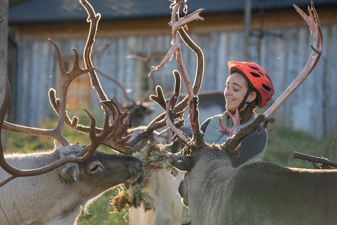 Electric Fatbike Trip to the Reindeer Farm - Why the fatbike ride works so well in Lapland