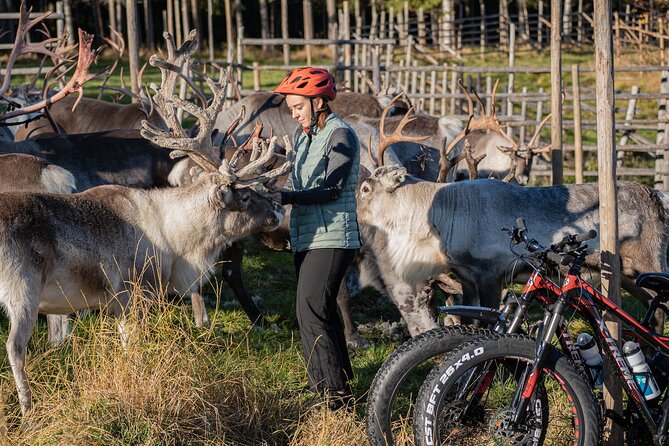 Electric Fatbike Trip to the Reindeer Farm - Coffee, cinnamon cookies, and a birch fire