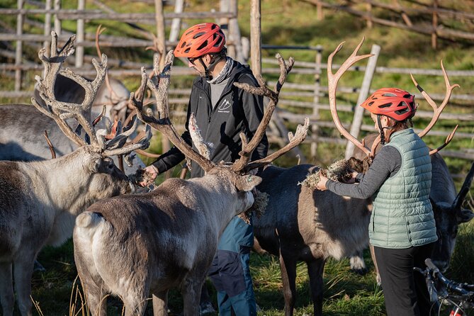 Electric Fatbike Trip to the Reindeer Farm - What the $177.44 price means