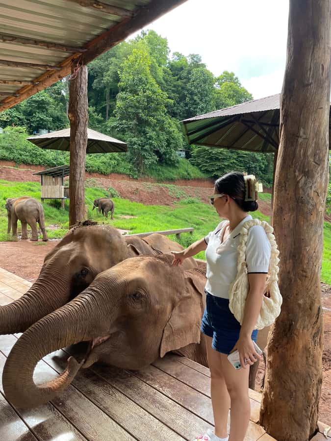 Elefin Farm & Cafe Half-day tour with Private Car - Key points at a glance