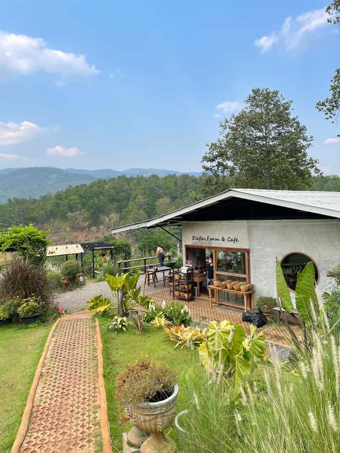 Elefin Farm & Cafe Half-day tour with Private Car - Who should book this half-day outing?