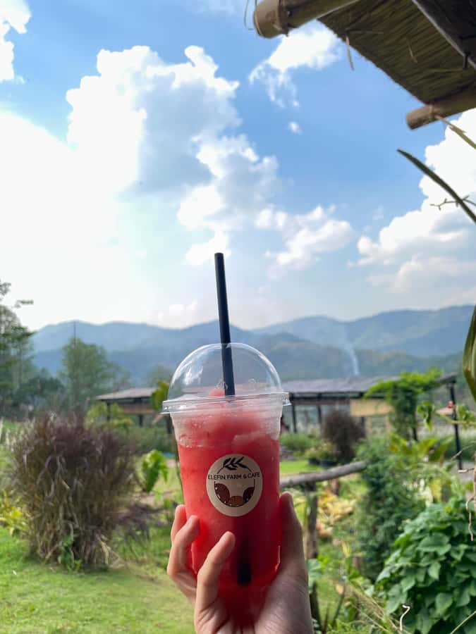 Elefin Farm & Cafe Half-day tour with Private Car - Lunch with views at the farm café