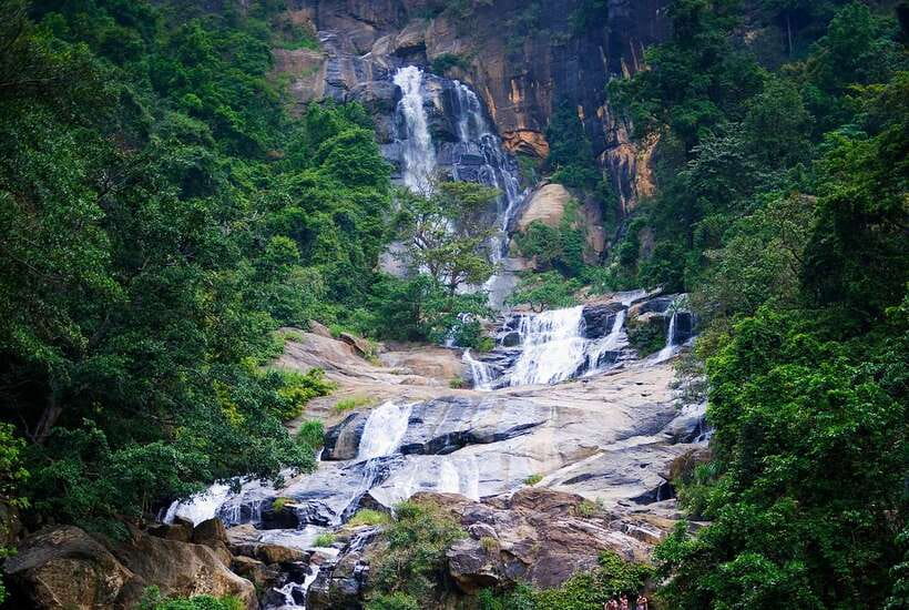 Ella Day Tour with Scenic Train Ride & Tea Plantation Visit - Tea plantation visit and fresh Ceylon tea