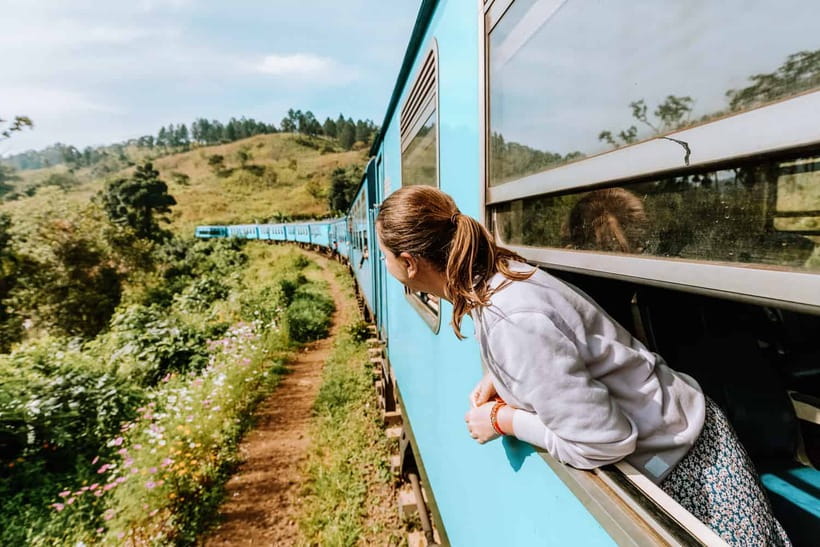 Ella Day Tour with Scenic Train Ride & Tea Plantation Visit - Udawalawe Elephant Transit Home