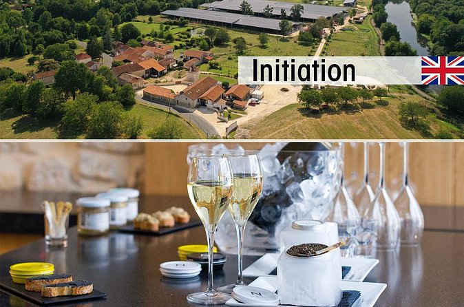 English Tour into the Sturgeon Farm With a Initiation Tasting - The visitor pool and the sturgeon encounter