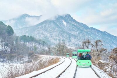 Eobi Ice Valley & Nami (+ Light Festival, Railbike, Alpaca)