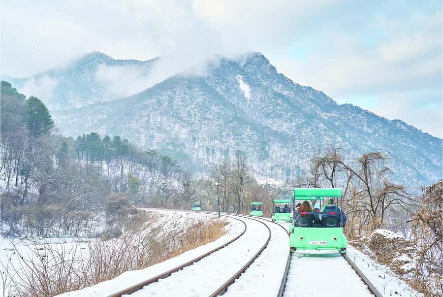 Eobi Ice Valley & Nami (+ Light Festival, Railbike, Alpaca) - Nami Island brings a calmer middle section