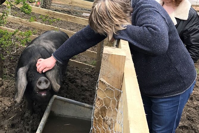Errichel Farm Tour - Becky’s approach to ethical farming