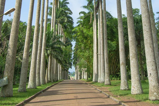 Escape Accra City to Aburi Gardens and Tetteh Quarshie Cocoa Farms - Leaving Accra for Aburi’s cooler hills