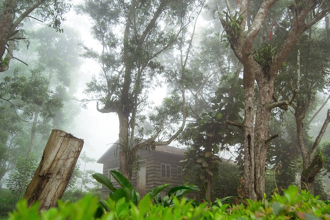 Escape Accra City to Aburi Gardens and Tetteh Quarshie Cocoa Farms - What the $170 price really covers