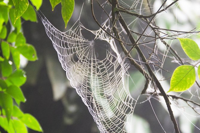 Escape Accra City to Aburi Gardens and Tetteh Quarshie Cocoa Farms - Timing, pickup, and the private vehicle